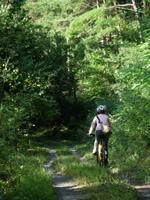 1.久しぶりに自転車に乗ります