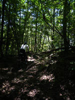 5.MTBで近所の細い道を探索しては走る