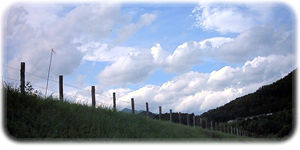 ���Ð���ʐ^