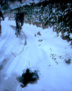 �ѓc�s�̎��]�ԏ��0