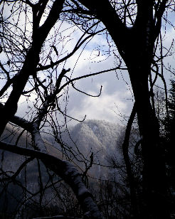 �ѓc�s�̎��]�ԏ��0