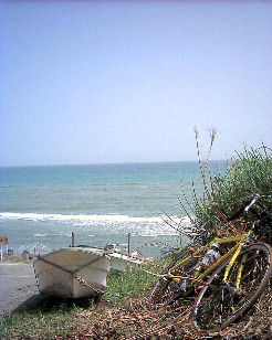 ���ǒ���