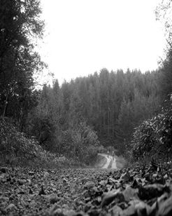 �_�[�g�����[�h��