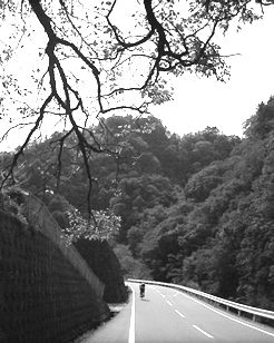 �H�̂͂��܂�