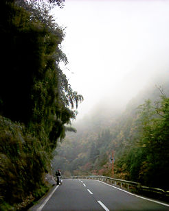 ���̊_�ԂɐF�t���R������