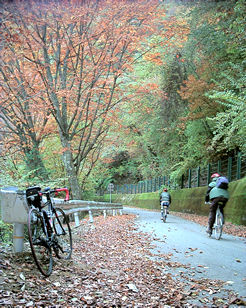 �H�ł͍����ԑ̂��f�����