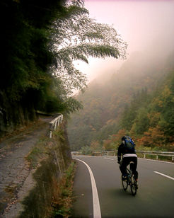 ����Ȃ��f�u�͂����̃f�u��