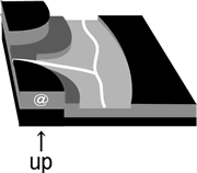 ����オ��̐}