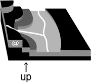 �������̐}