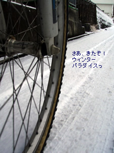090106snow.jpg